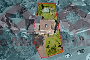 Photo 2- click for photo gallery